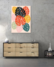 Monstera Medley
