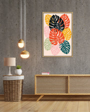 Monstera Medley