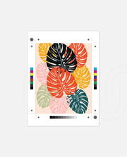 Monstera Medley