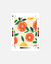 Citrus Pattern Bloom