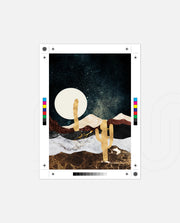 Desert Moonrise