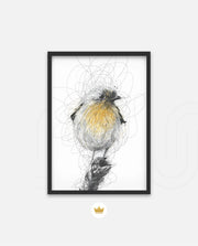 Golden Scribble Bird