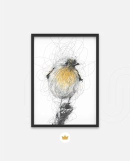 Golden Scribble Bird