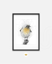 Golden Scribble Bird