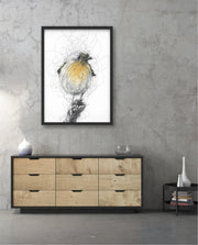 Golden Scribble Bird