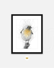 Golden Scribble Bird