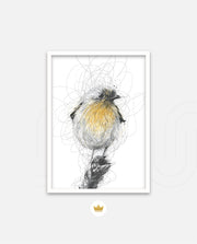 Golden Scribble Bird