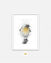 Golden Scribble Bird