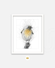 Golden Scribble Bird