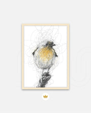 Golden Scribble Bird
