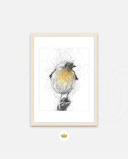 Golden Scribble Bird