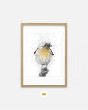 Golden Scribble Bird