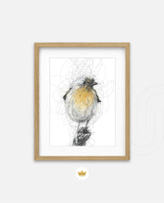 Golden Scribble Bird