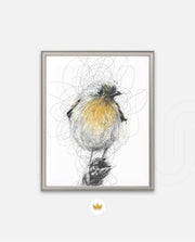 Golden Scribble Bird