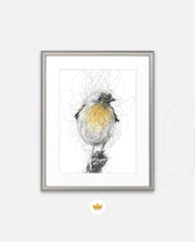 Golden Scribble Bird