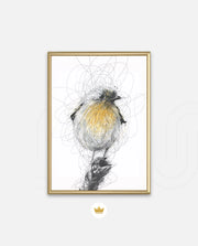 Golden Scribble Bird