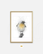 Golden Scribble Bird