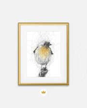Golden Scribble Bird