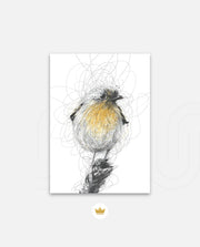 Golden Scribble Bird