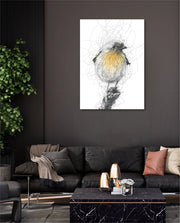 Golden Scribble Bird