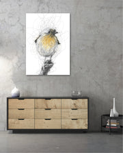 Golden Scribble Bird