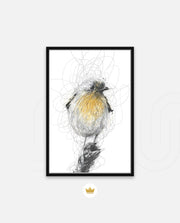 Golden Scribble Bird