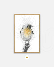 Golden Scribble Bird