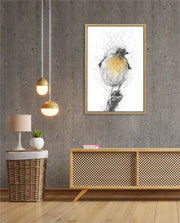 Golden Scribble Bird
