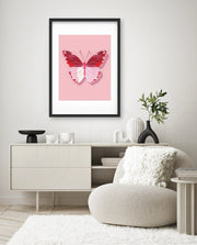 Blush Wings