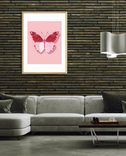 Blush Wings