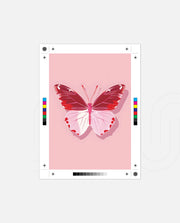 Blush Wings