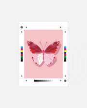 Blush Wings