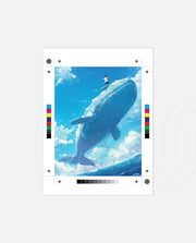 Sky Whale Dream