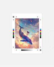 Dream Whale Ride