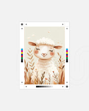 Sweet Lamb