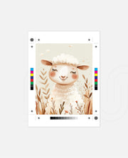 Sweet Lamb