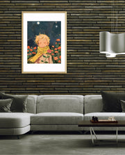 Little Star Dreamer