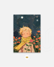 Little Star Dreamer