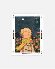 Little Star Dreamer