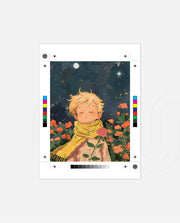 Little Star Dreamer