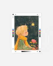 Star Rose Dream