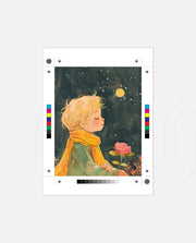 Star Rose Dream