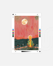 Moonlight Dreamer