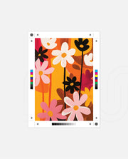 Bloom Pop
