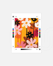 Bloom Pop
