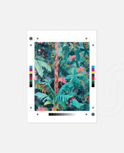 Tropic Harmony