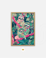 Sloth Trio