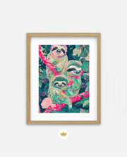 Sloth Trio
