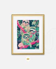 Sloth Trio