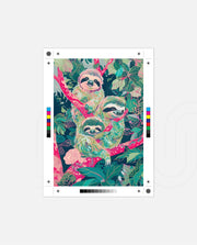 Sloth Trio